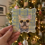 Molly review photo