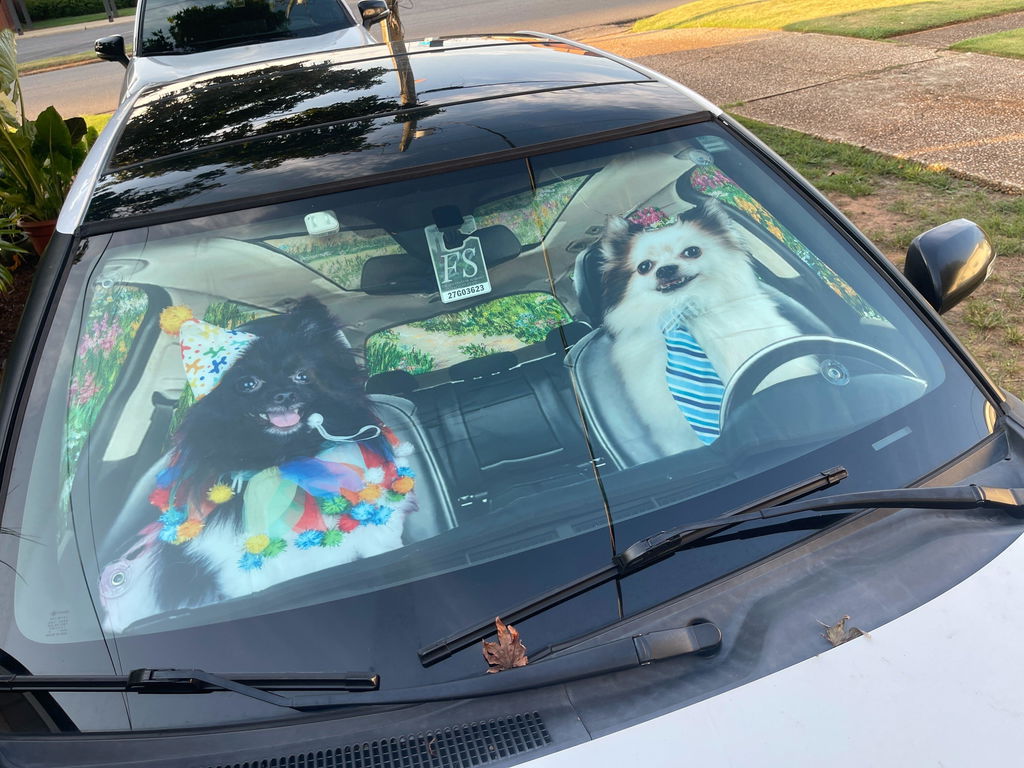Pet Photo - Personalized Car Sunshade