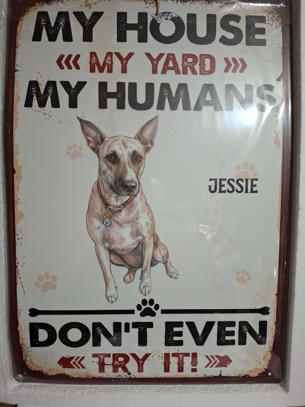 Custom Photo Dog Lovers Wall Decor, Unique Pet Family Keepsake • Color Dog Protects Here - Personalized Metal Sign