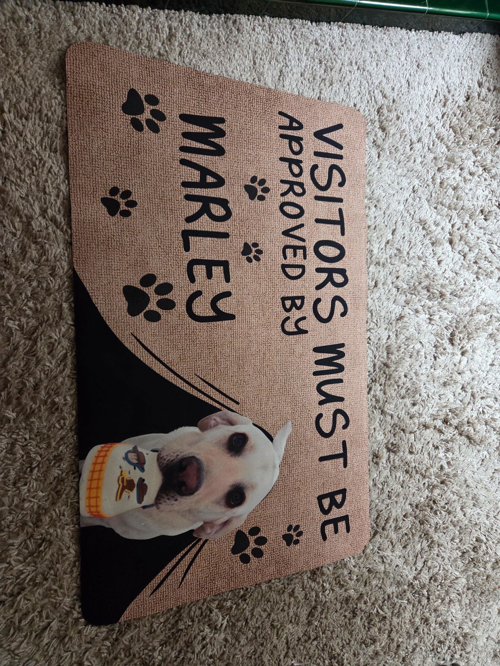 Approved By Dog Cartoon Version 2 Photo - Personalized Doormat