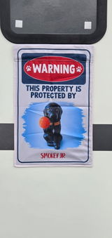 Pretty DOG GONE good review photo