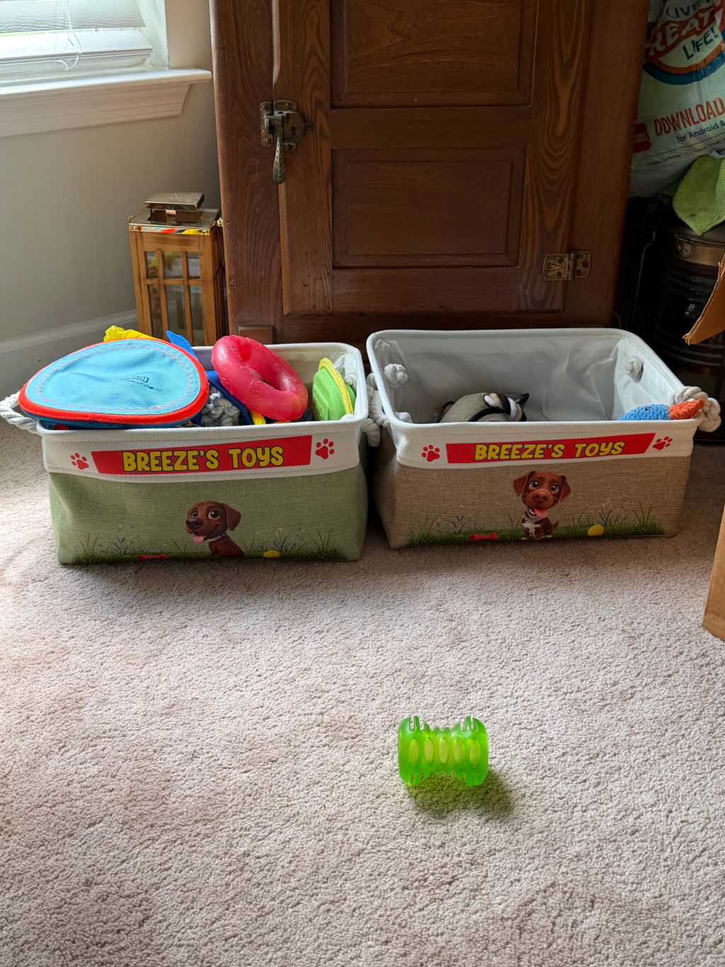 Custom Photo Dog & Cat Toy Organizer for Pet Lovers, Pet Storage & Home Decor • Pawfect Toy Storage - Personalized Storage Basket