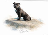 Reg Sypher review photo