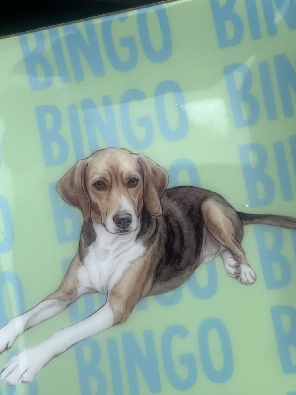 Pawsionate