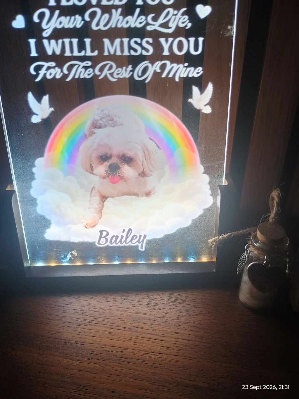 Your Wings Were Ready Photo - Personalized Night Light