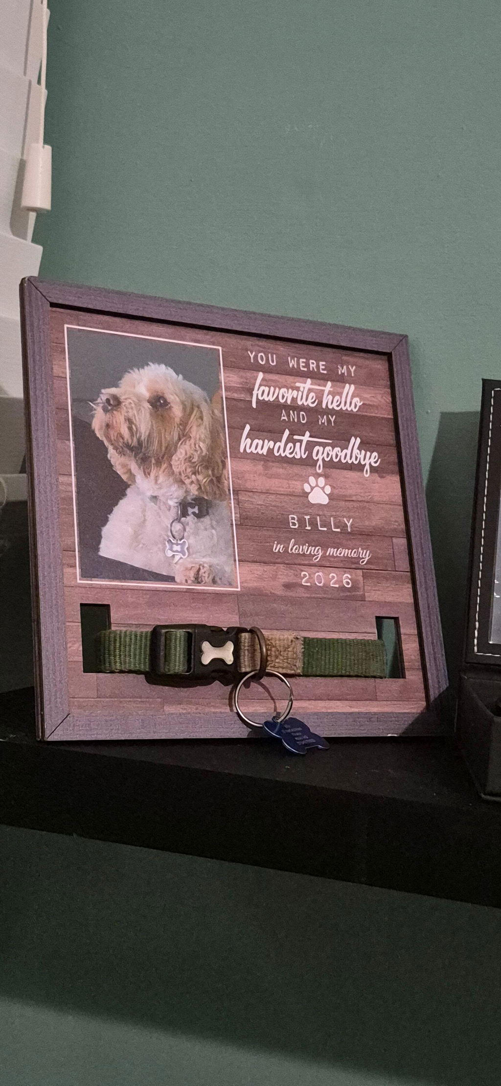 Favorite Hello And Hardest Goodbye - Personalized Collar Frame