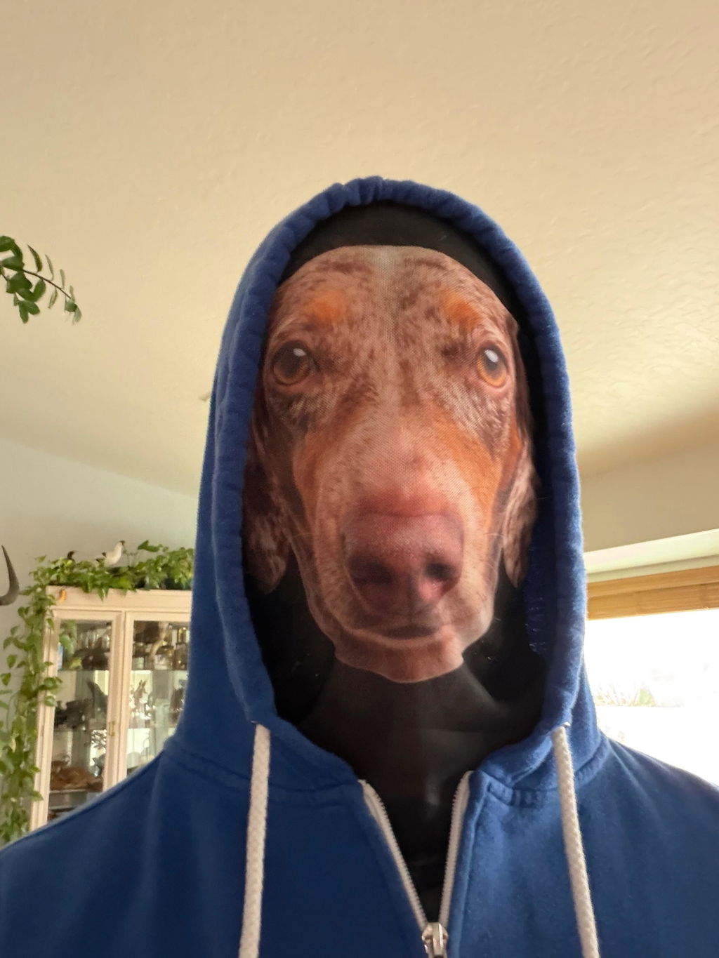 Who Let The Pets Out - Personalized Balaclava Mask