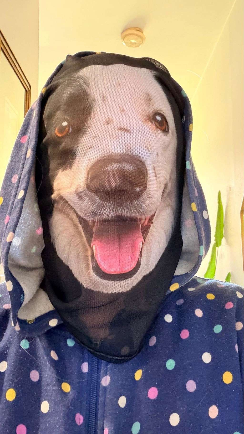 Who Let The Pets Out - Personalized Balaclava Mask