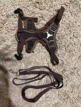 Samuel Green review photo