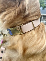 Brandi Montross review photo