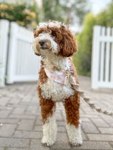 Milly review photo