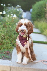 Milly review photo