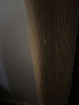 Carla review photo