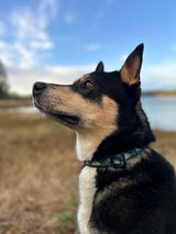 Ali S review photo