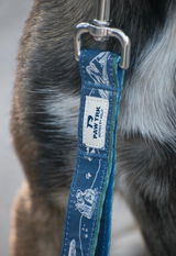 The ABQ Mutts review photo