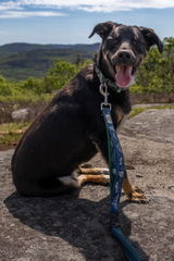 Shawna review photo