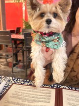 Cute Bowknot Lace Trim Pet Dress