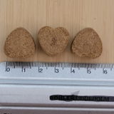 Opal Petrov review photo