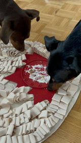 Pupster Delight review photo