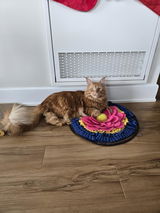 Sam review photo