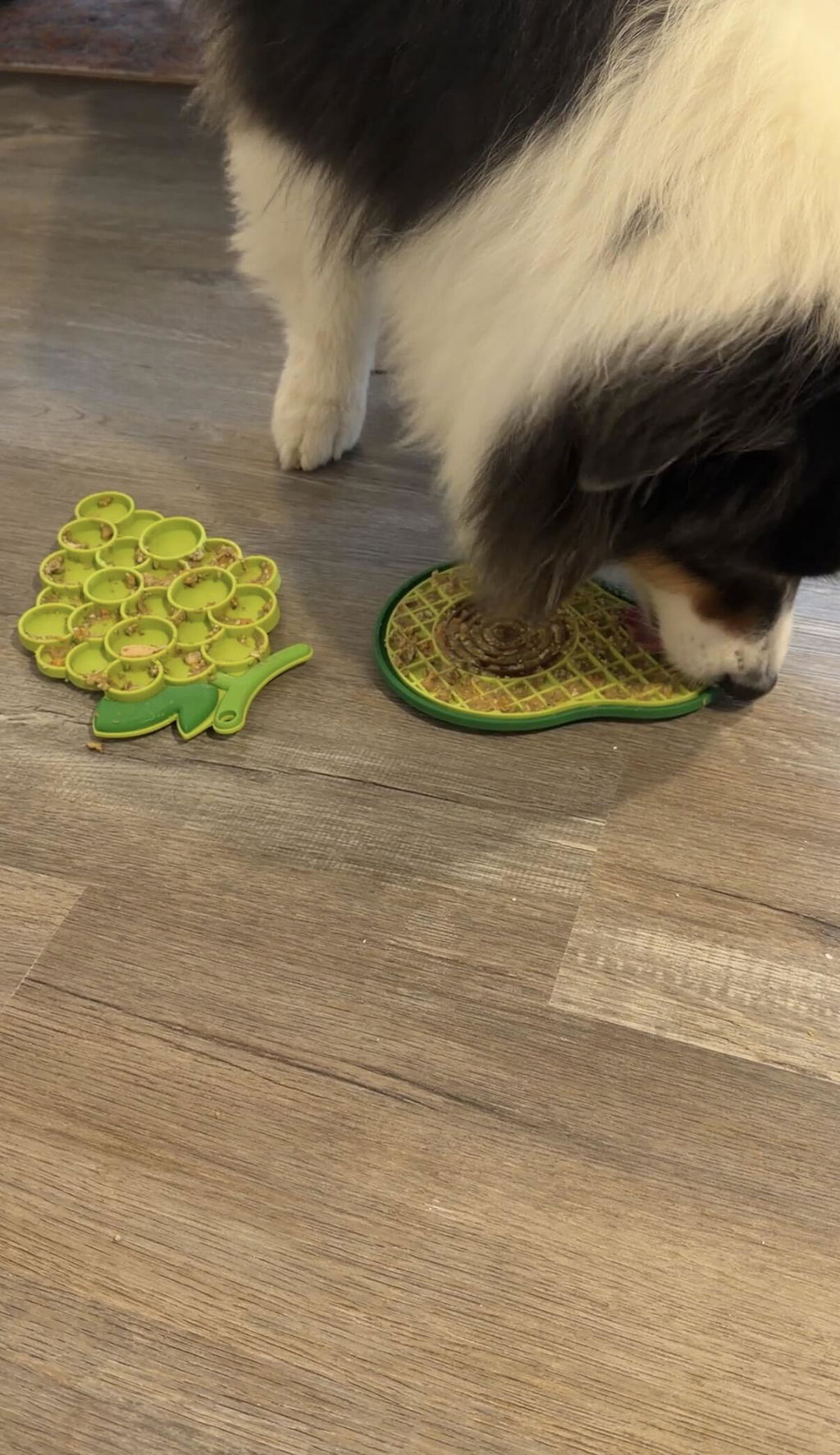 Fire & Ice™ AntiBite (Ice) Snuffle Mat