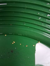 Joaquin review photo