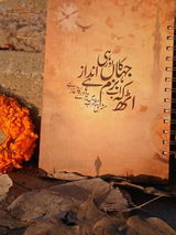 Sidra Umer review photo