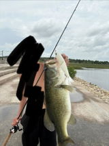 PB Glide Bait