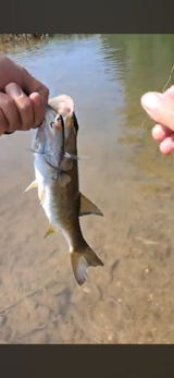 PB Crawler