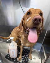 Kanny Kaynines Dog Grooming review photo