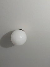 Aracely review photo