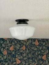 MZ review photo
