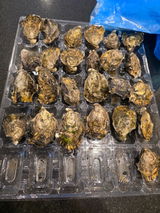 Seafoodholic review photo