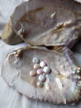 Cindy Meints review photo