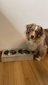 Jasmin review photo