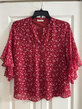 Taylor review photo
