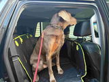 Hannah Grad review photo