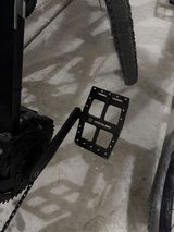 Todd Griesmann review photo