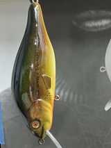 Stewart Heislup review photo