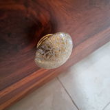 Sandeep M review photo