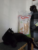 42 L / 27 KG PeeWee Holzstreu Katzenstreu Einstreu Bio Öko Streu Pellets (3x9kg)