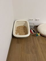 PeeWee EcoGranda XXL Offenes Katzenklo Salbeigrün – Starterpaket inkl. 3 kg Holzpellets