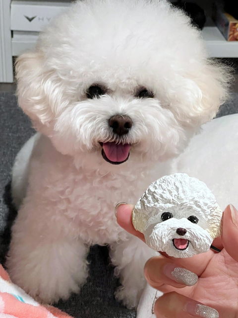 Custom Pet Magnet Figurine