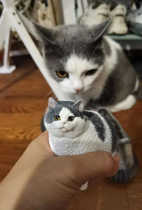 Custom Cat Figurine