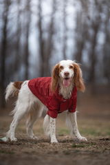 sammie review photo