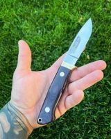 Michael Stuber review photo