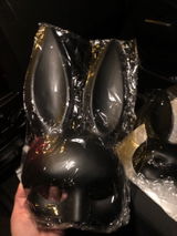 Daria review photo