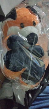 Carol Remos review photo