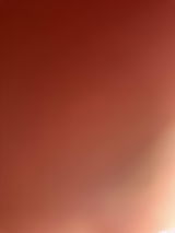 Melitta review photo