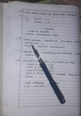 Md Uddin review photo